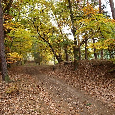Penzion U Kukacku Horní Planá 외부 사진
